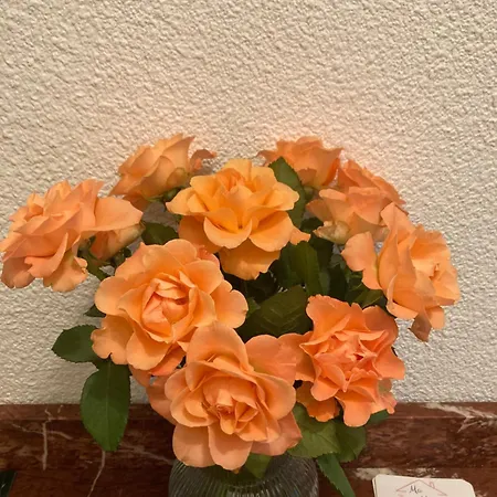 アパート Ma Maison